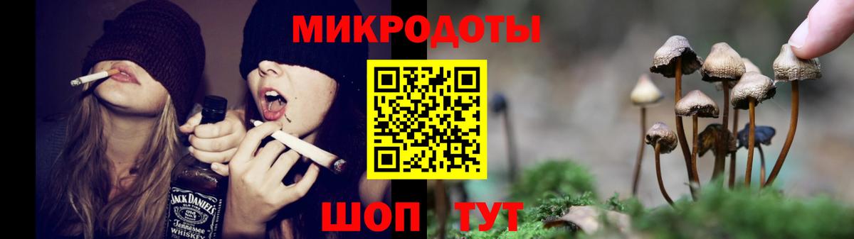 Галлюциногенные грибы Psilocybine cubensis  Вход с VPN  наркота  Ирбит 